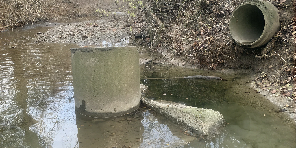 EVENDALE COMMONS STREAM RESTORATION