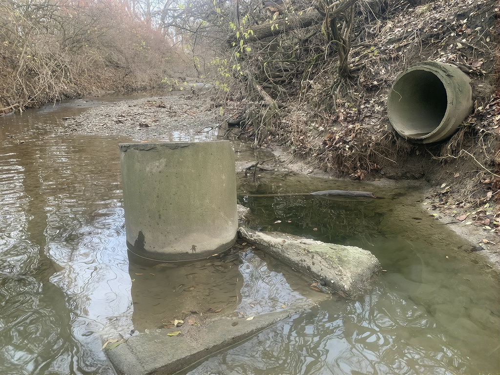 EVENDALE COMMONS STREAM RESTORATION