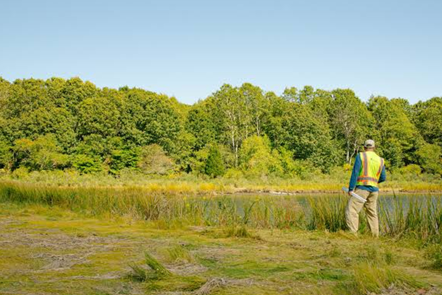 Ecological Site Restoration