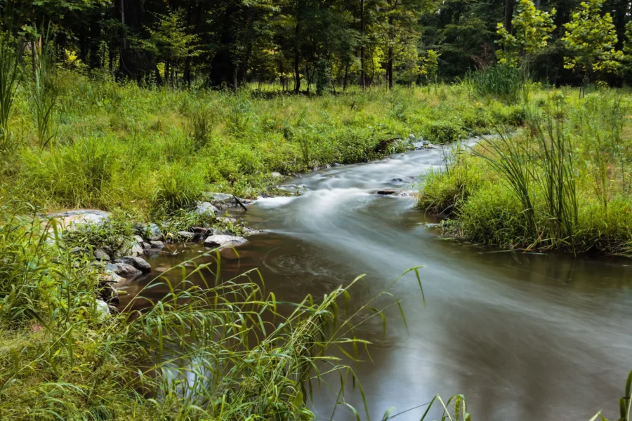 Stream and River Restoration image