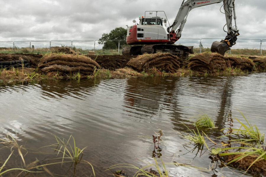 Wetland Creation Restoration