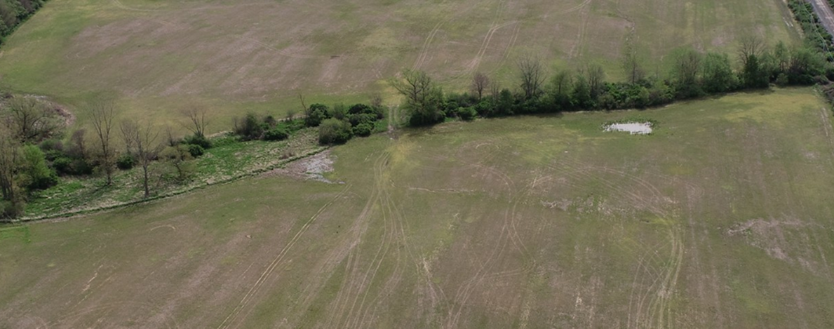 Constructed wetland microtopography holding water for habitat