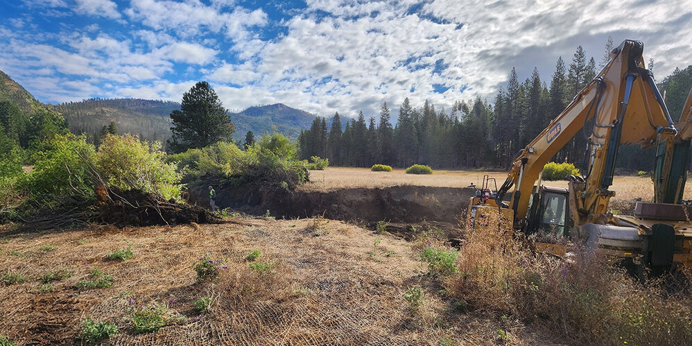 Ecological Restoration 101 Ecological Restoration 101: Streams, Wetlands & Shorelines