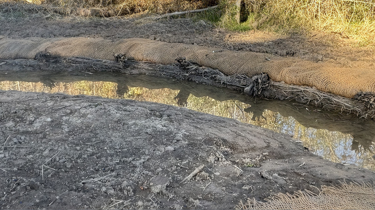 Free-flowing river reach after low-head dam removal