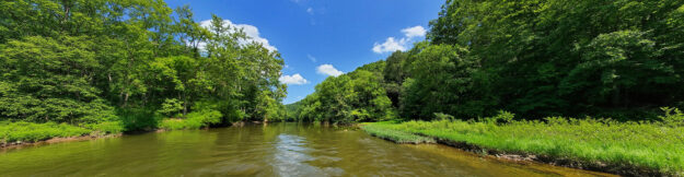 Restored wetland on former farmland in Galloway, Ohio