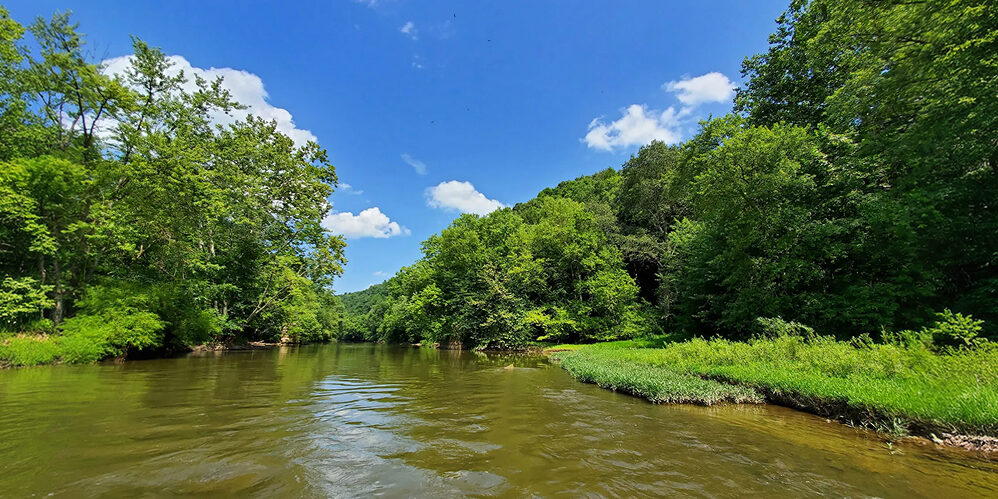 Restored wetland on former farmland in Galloway, Ohio