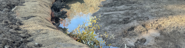 State Forest Stream & Wetland Restoration