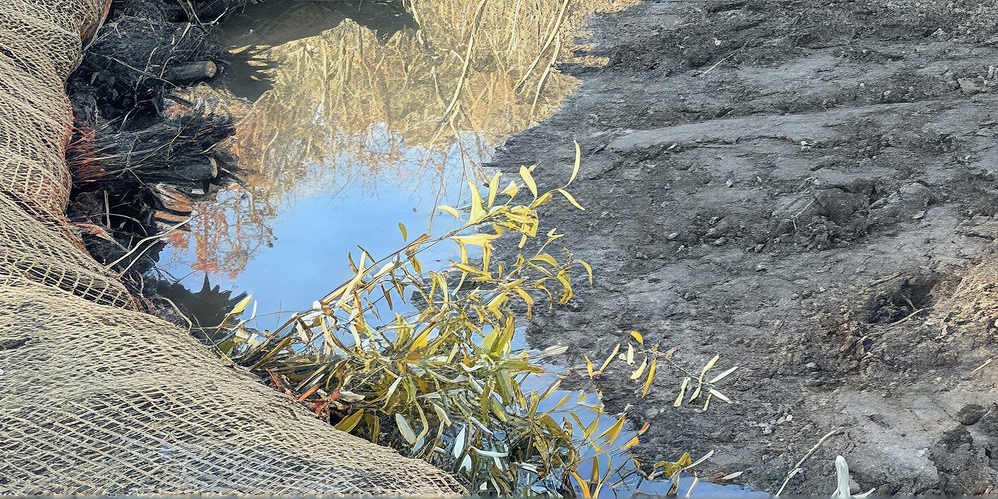 State Forest Stream & Wetland Restoration