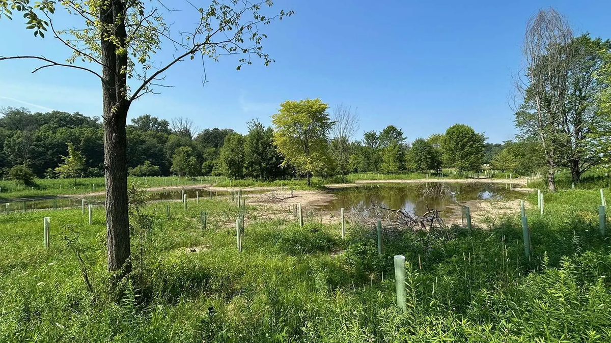 Water-level control structure installed in a restored wetland