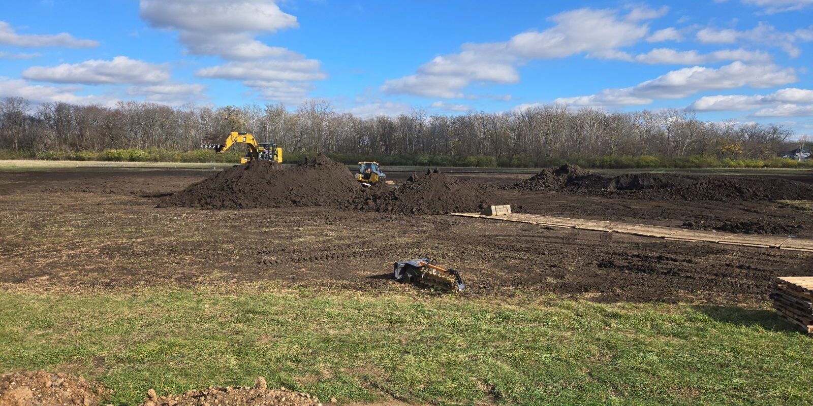 constructed wetlands