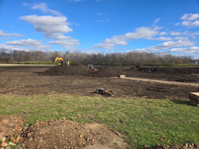 Constructed Wetlands: How They Work and Why Cities Are Building Them